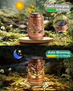 2-Pack Dragonfly Solar Yard Lanterns, Classic Waterproof LED