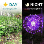 Solar Pathway Lights 2-Pack, Garden LED