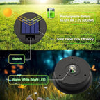 Solar Pathway Lights 2-Pack, Yard LED