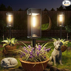 Warm White Solar Pathway Lights 2-Pack, Driveway LED