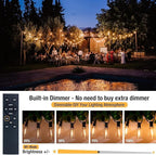 G40 Globe Patio Lights, 120ft LED Bulbs
