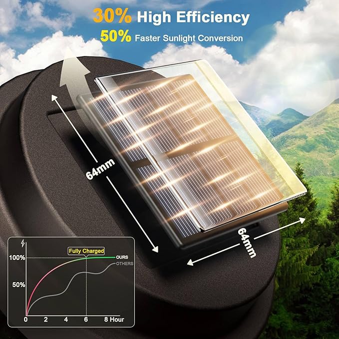 Black Solar Pathway Lights, Garden LED