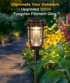 Solar Landscape Lights for Walkway