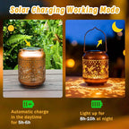 Elegant Hummingbird Solar Lanterns for Patio, Waterproof LED