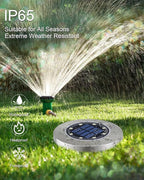 Solar Flat Disk Lights 8-Pack, Waterproof Landscape