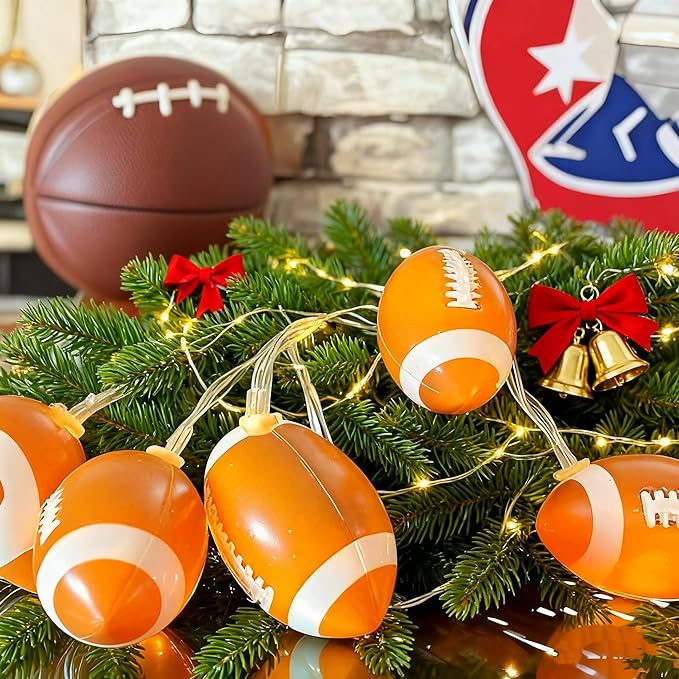 Yard String Lights, 14ft Weatherproof LED