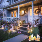 66ft Multicolor Outdoor Edison String Lights, Weatherproof