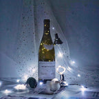 Solar Cork Lights 10-Pack, 20 LED Wine Bottle