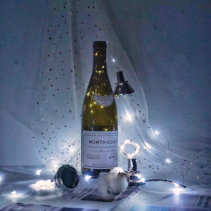 Solar Cork Lights 10-Pack, 20 LED Wine Bottle