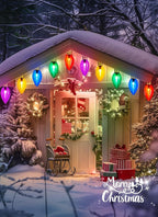 Christmas Pathway String Lights 2-Pack, 22ft C9