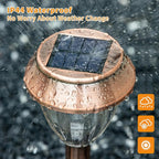 Cool White Solar Pathway Lights 6-Pack, Garden LED