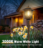 Solar Post Cap Lights 2-Pack, Waterproof LED