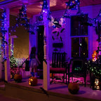 20ft Halloween LED String Lights, Waterproof Timer Lights