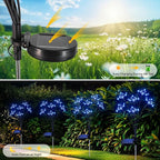 Blue Solar Pathway Lights 2-Pack, Walkway LED
