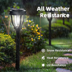 Cold White Solar Pathway Lights 12-Pack, Walkway LED