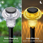 Solar Garden Path Lights 8-Pack, Waterproof