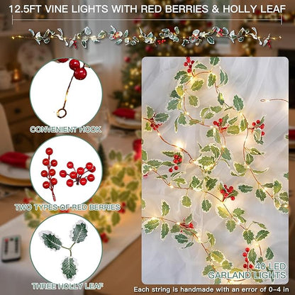 Christmas Fairy Lights, 5ft 40 LED Battery Twinkle Lights