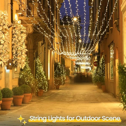 2 Pack Christmas String Lights Battery Operated with Timer, 33FT 100 LED Waterproof Twinkle Lights, 8 Modes Fairy Light for Indoor and Outdoor Bedroom Garland Tree Christmas Decorations (Warm White)