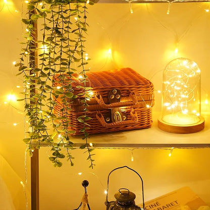 16ft Warm White String Lights for Backyard, Waterproof LED