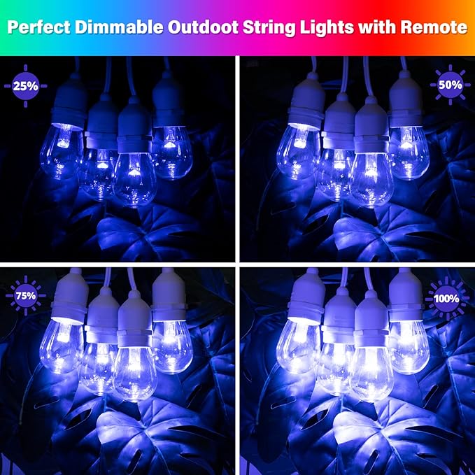 Outdoor Globe Café String Lights, 48ft LED Bulbs
