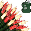 Christmas Backyard String Lights 2-Pack, 18ft 50 LED Waterproof
