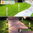 Solar Pathway Lights 8-Pack, Garden LED