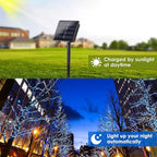 Blue Christmas Lights 2-Pack, 80ft LED Twinkle