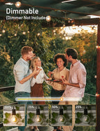 30ft Black Outdoor Edison String Lights, Weatherproof