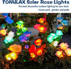 Solar Garden Path Lights 2-Pack, Waterproof