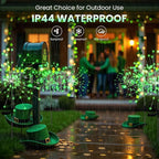 6-Pack Green Solar Path Lights, Outdoor Walkway LED