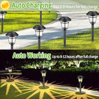 12-Pack Warm White Solar Path Lights, Outdoor Garden LED