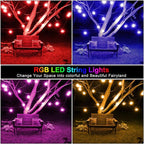G40 Globe Patio Lights, 144ft LED Bulbs
