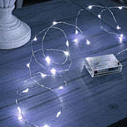 Christmas Backyard String Lights 2-Pack, 40ft 120 LED Waterproof