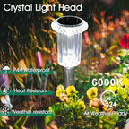Solar Yard Path Lights 15-Pack, Waterproof