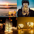 Christmas Yard String Lights 4-Pack, 10ft 30 LED Waterproof