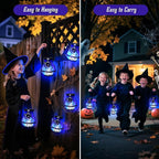 2-Pack Spider Solar Lanterns, Waterproof LED Backyard Lights
