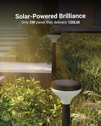 Solar Walkway Path Lights 6-Pack, Waterproof
