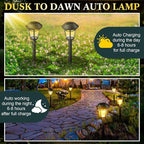 Solar Yard Path Lights 20-Pack, Waterproof