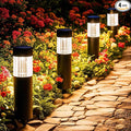 4-Pack Warm White Solar Path Lights, Outdoor Garden LED