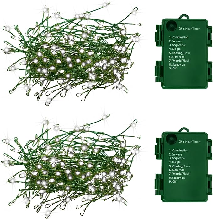 2 Pack Battery Operated Christmas Lights, 10FT 100 Micro LEDs Fairy Lights with 8 Modes and Timer, Green Copper Wire for Indoor Outdoor Christmas Tree Wreath Garland Garden Party, Cool White