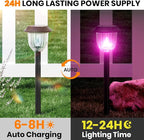 RGB Solar Pathway Lights 2-Pack, Yard LED