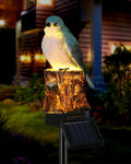 Solar Path Lights, Outdoor Driveway LED