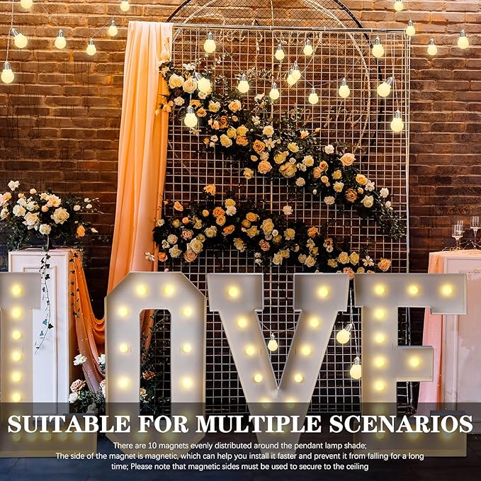 8ft Outdoor Edison String Lights, Weatherproof