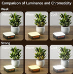 Multi-Function Rechargeable Camping Lantern