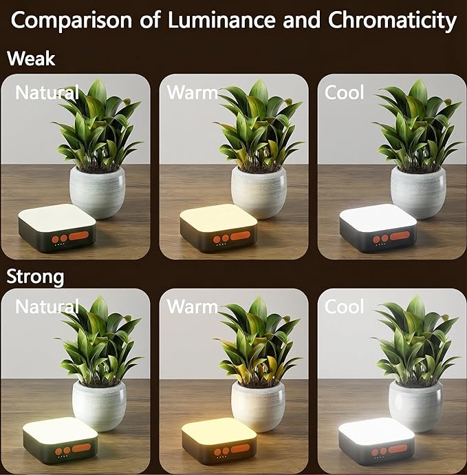 Multi-Function Rechargeable Camping Lantern