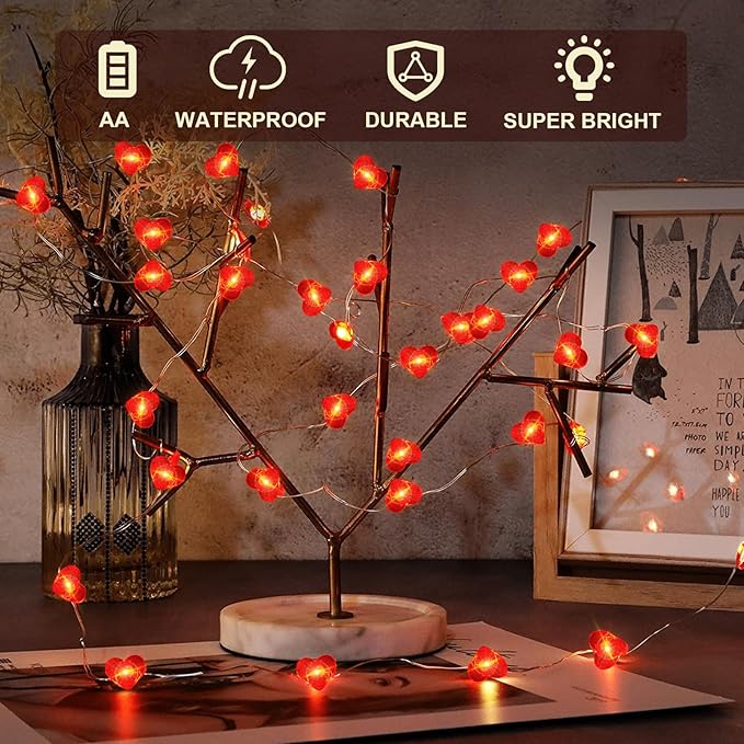 16ft Red Outdoor Edison String Lights, Weatherproof