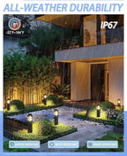 Warm White Solar Pathway Lights 6-Pack, Driveway LED