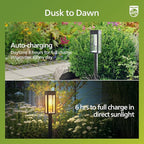 2-Pack Solar Pathway Lights, Waterproof LED Garden Lights