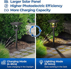 Cold White Solar Pathway Lights 12-Pack, Walkway LED