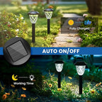 Solar Pathway Lights 8-Pack, Walkway LED
